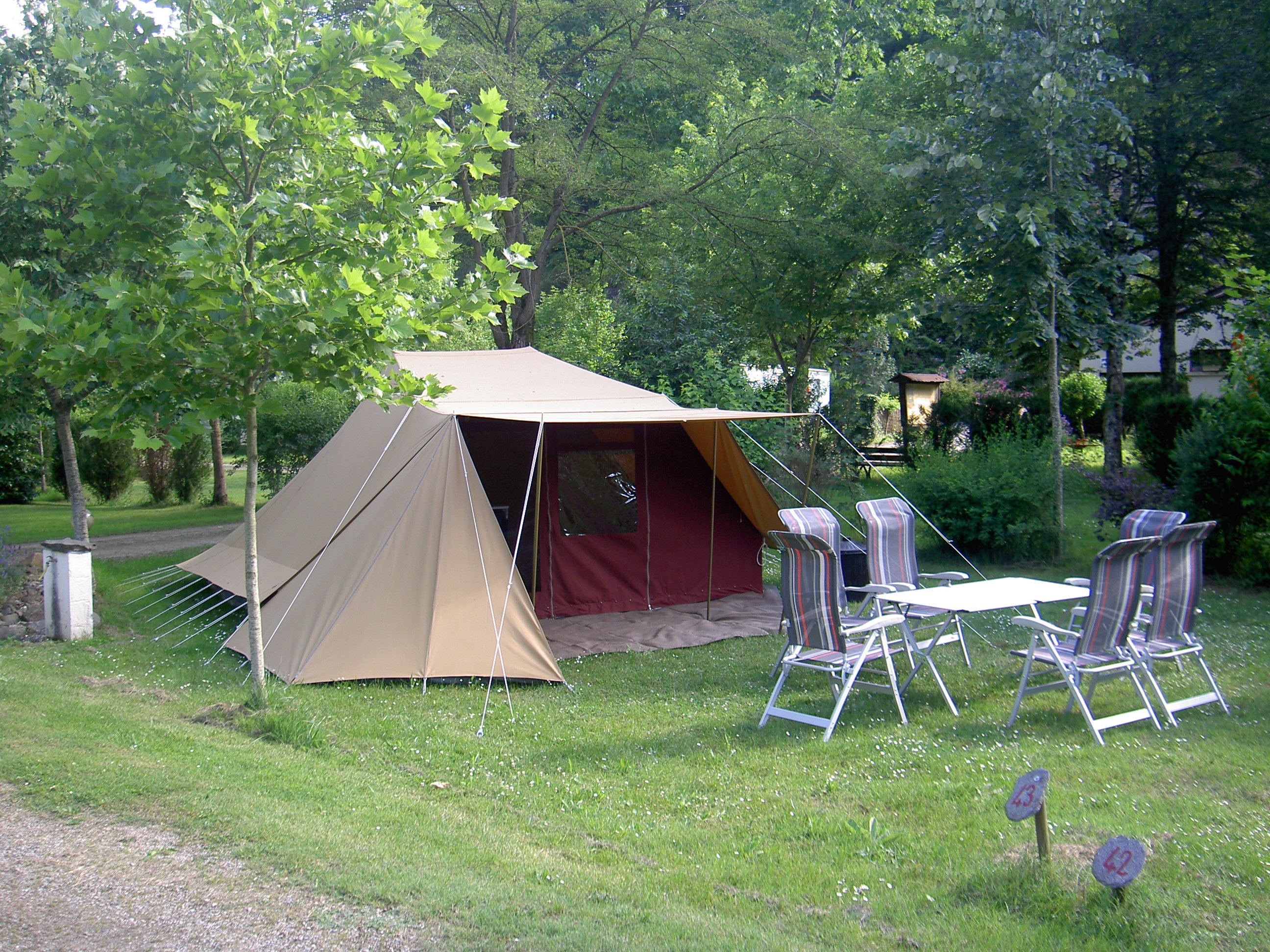 De Waard Tent , Vergrote Zilvermeeuw